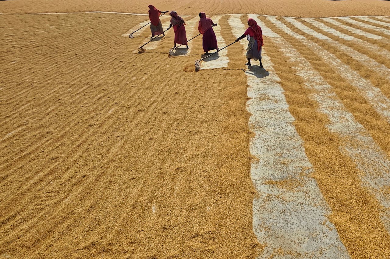 Men Working on a Field